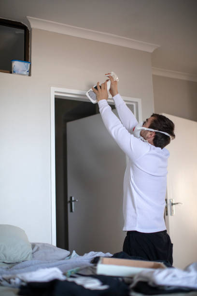 Best Dehumidification Services  in Graysville, AL
