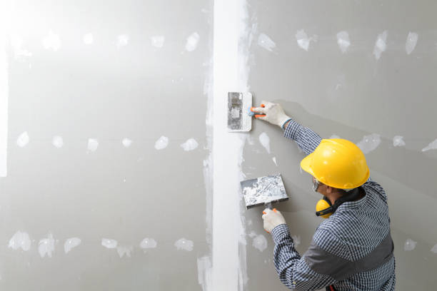 Best Forensic Mold Investigation  in Graysville, AL