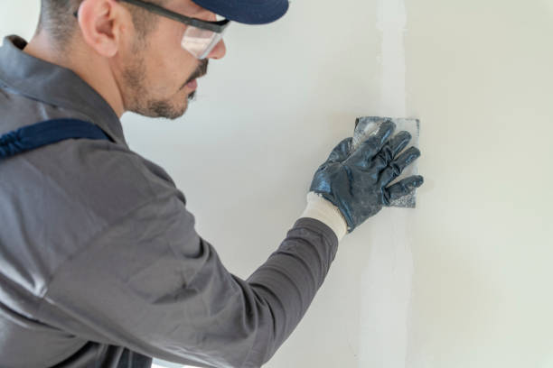 Best Mold Damage Restoration  in Graysville, AL