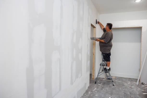 Best Industrial Mold Remediation  in Graysville, AL