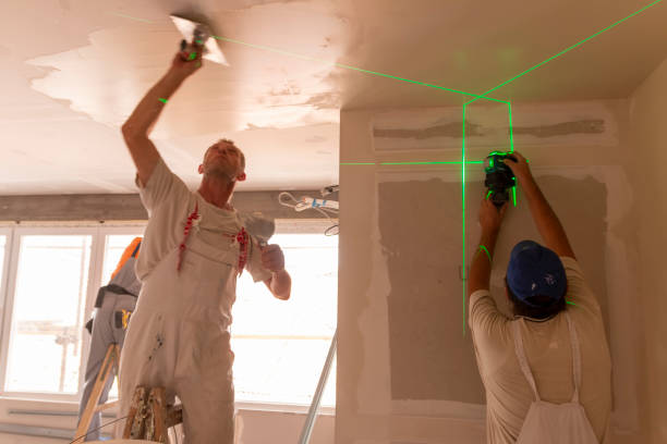Best Post-Construction Mold Inspection  in Graysville, AL