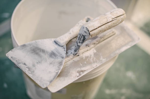 Best Black Mold Removal  in Graysville, AL